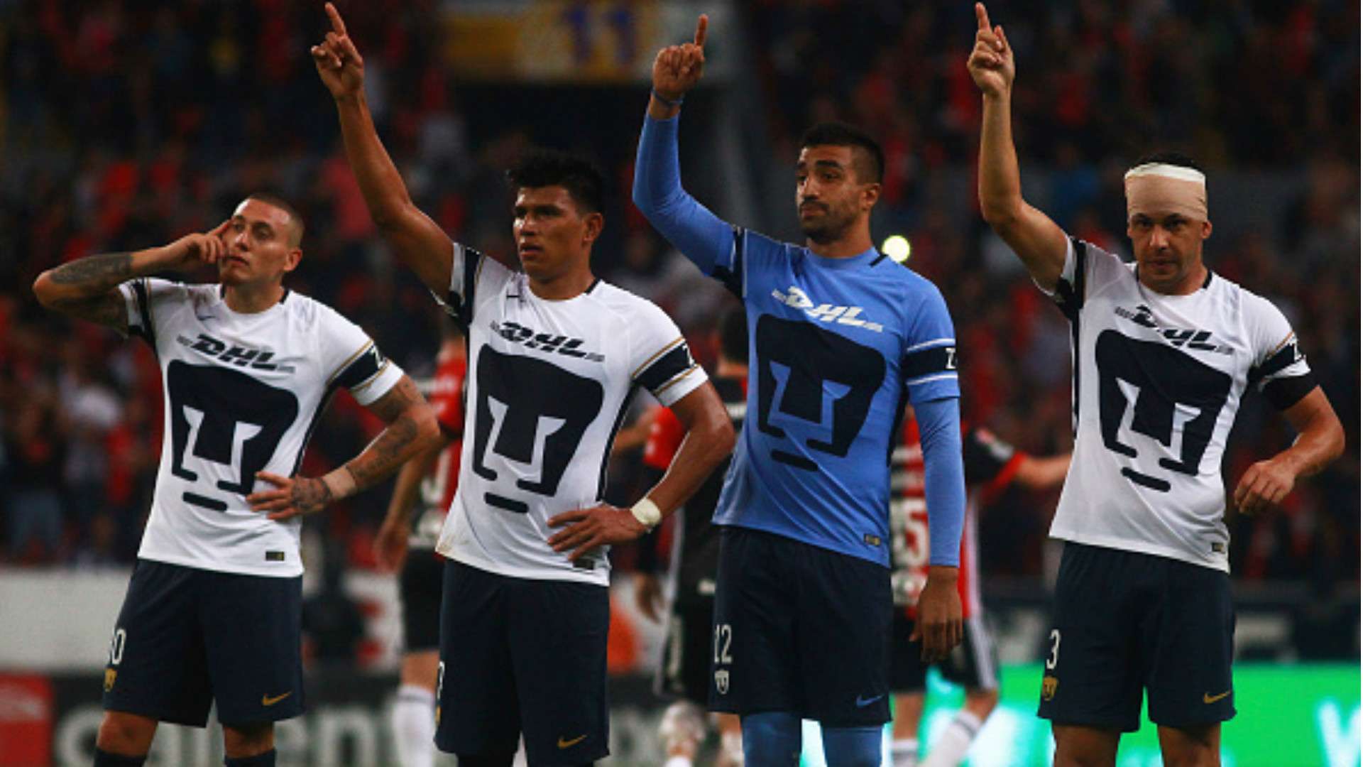 Pumas