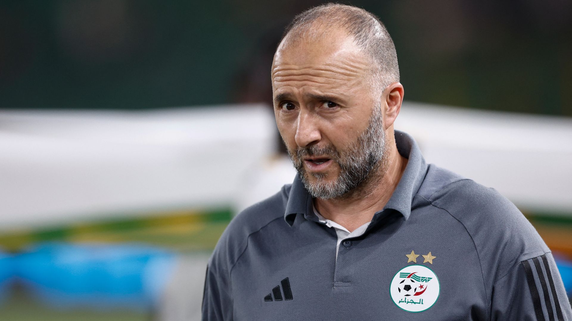 Djamel Belmadi Algeria