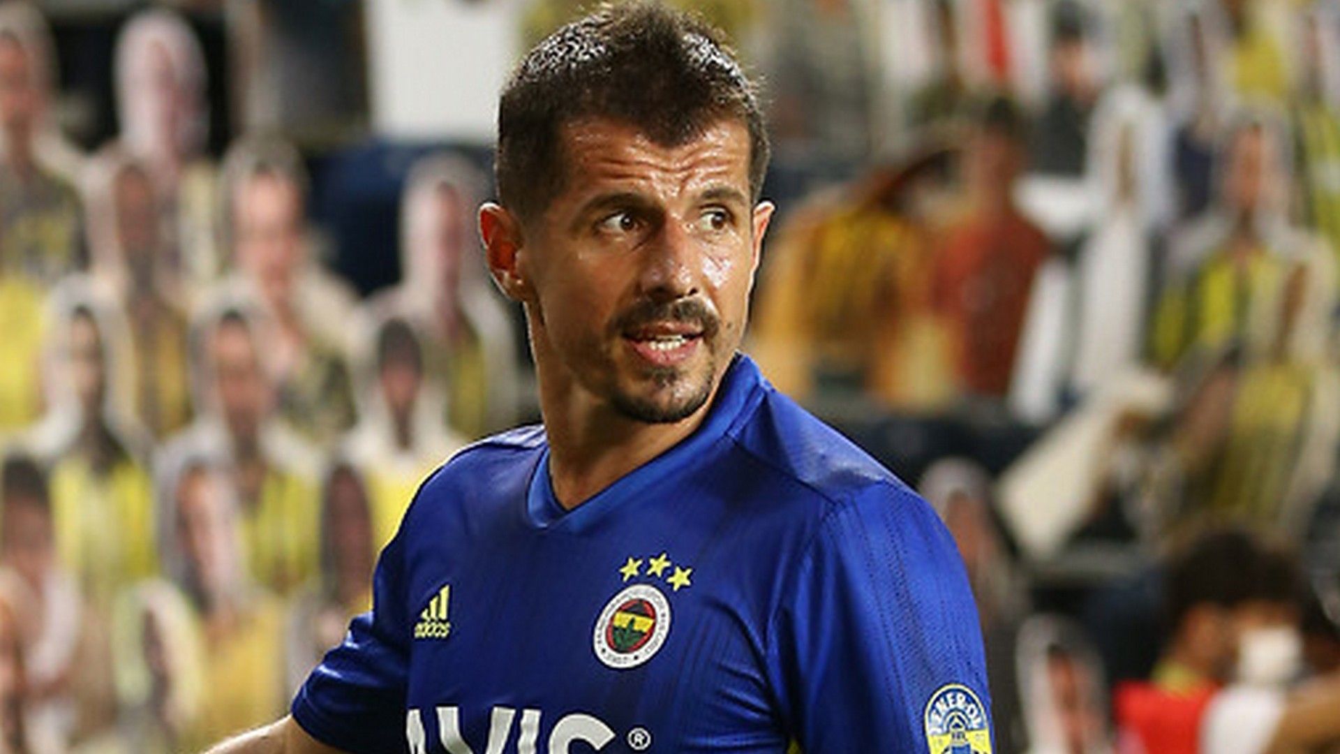 Emre Belozoglu Fenerbahce