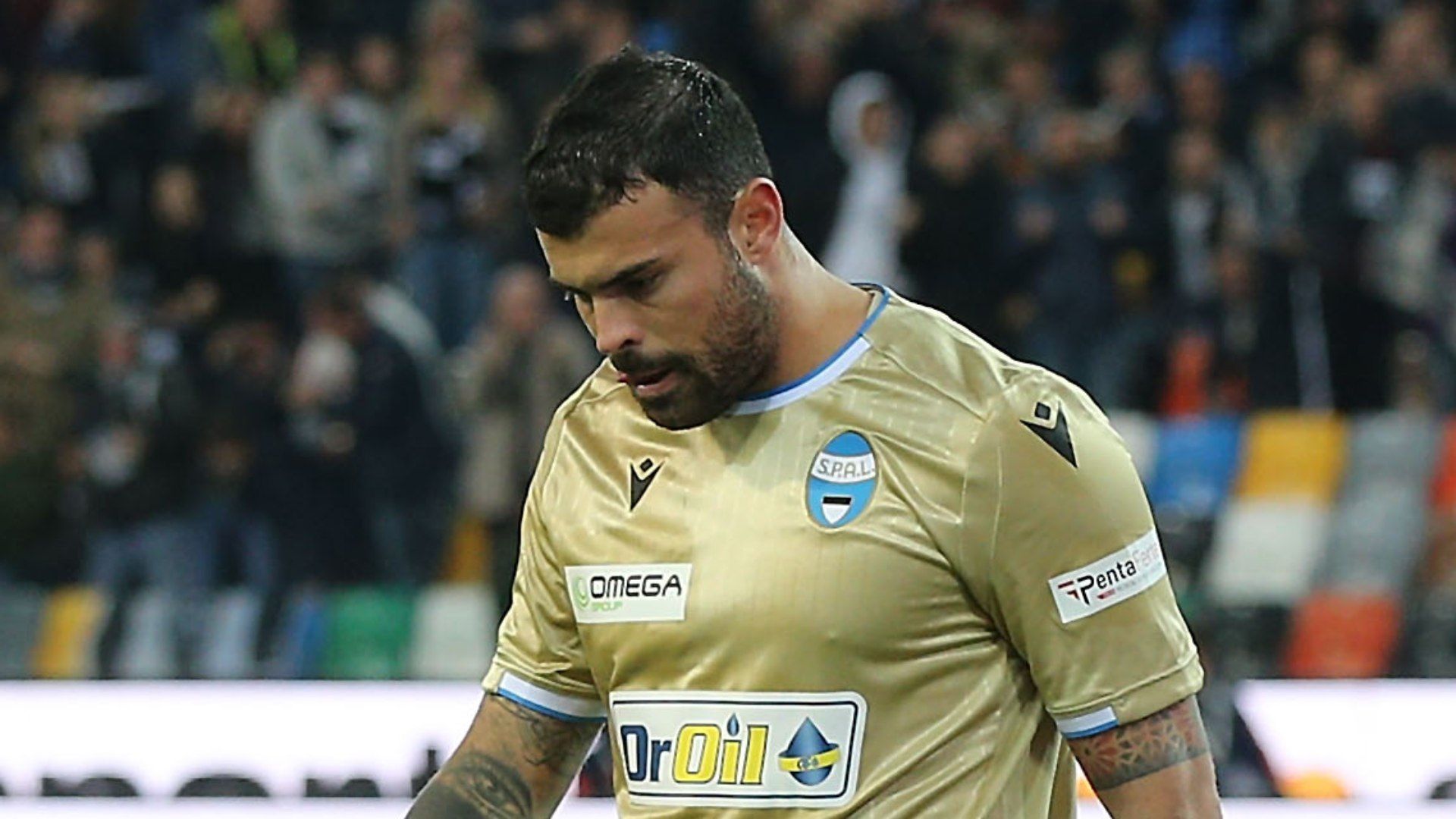 Andrea Petagna SPAL