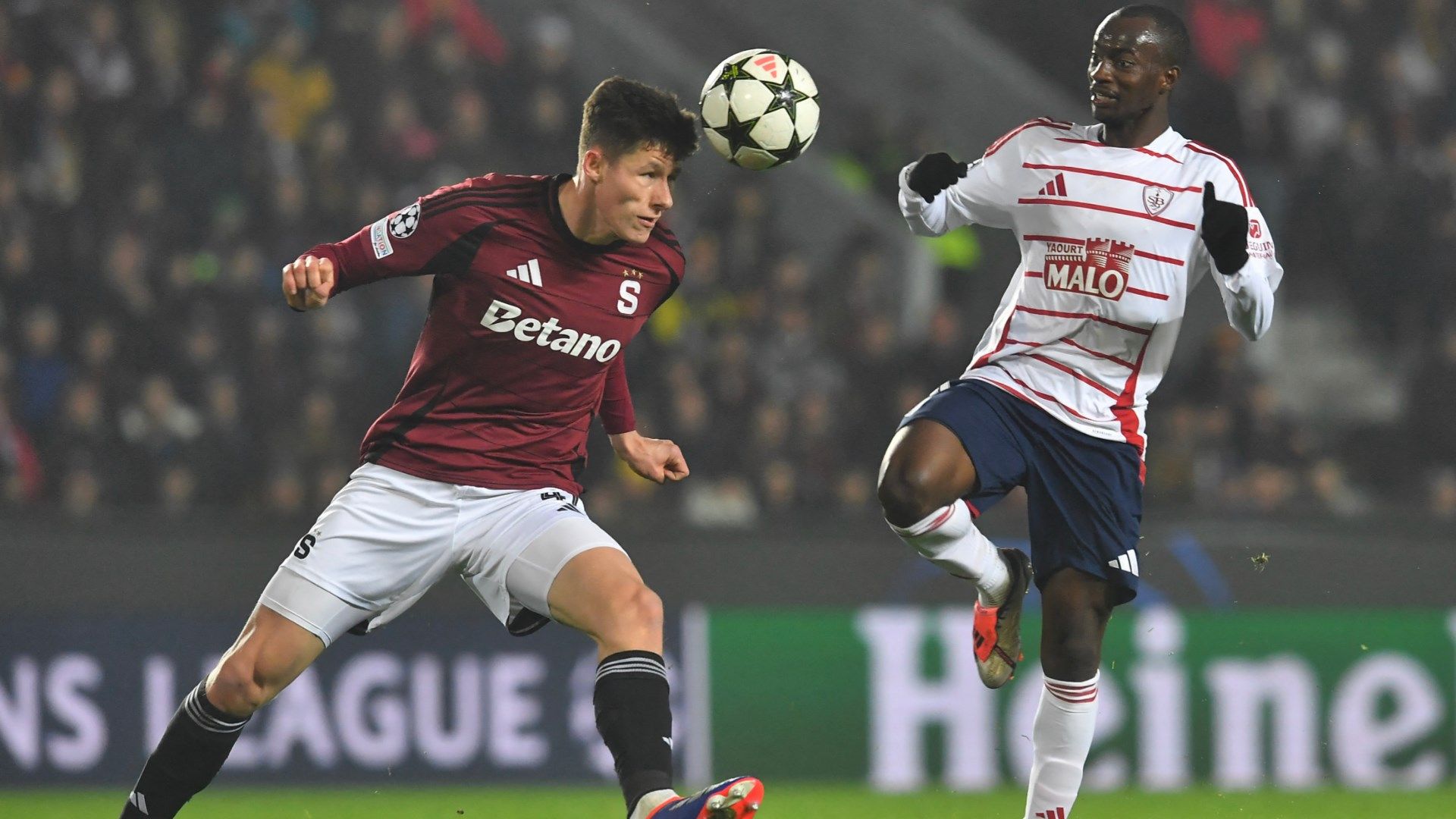 Sparta Prague Brest Champions League 2024-25