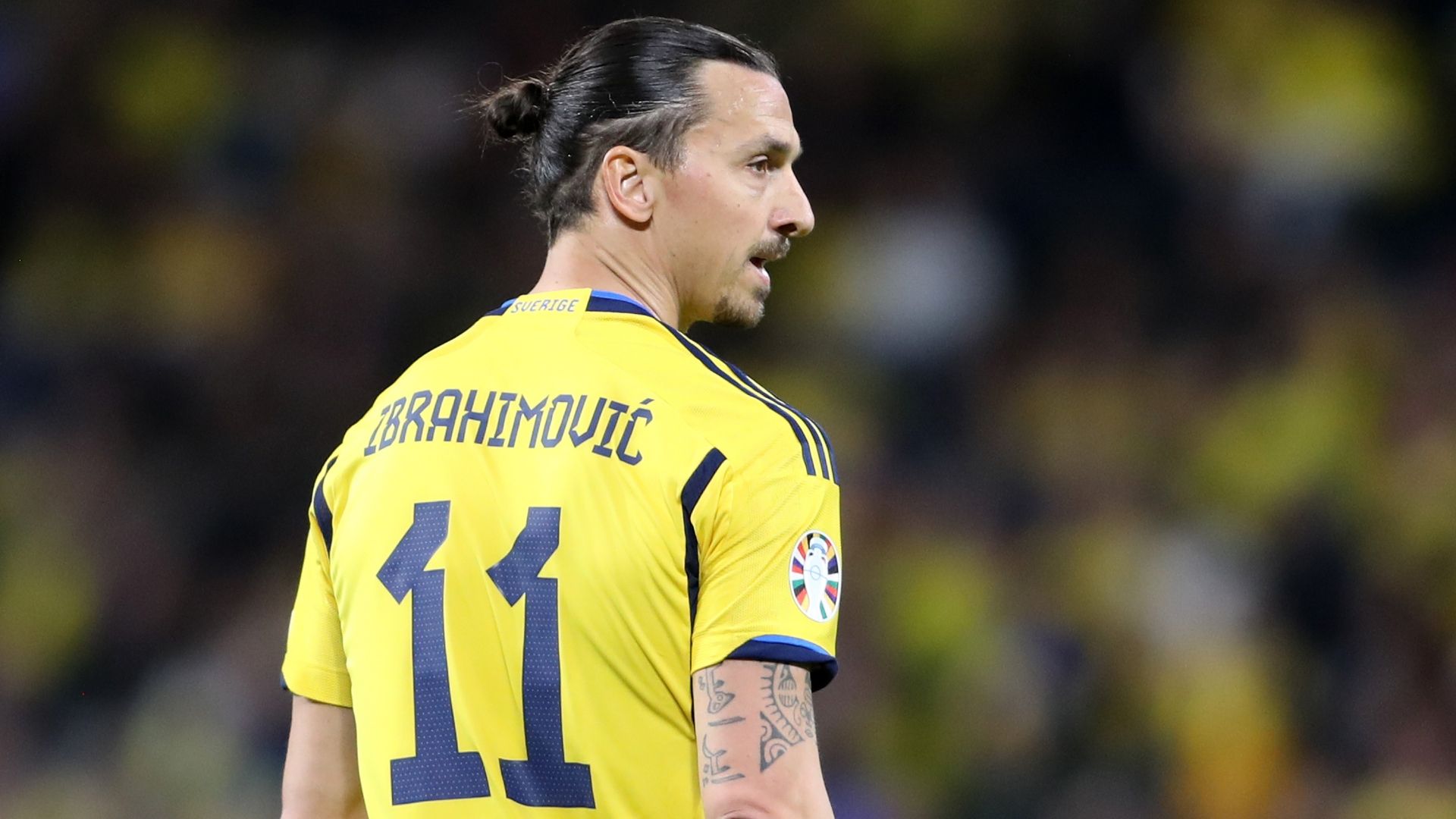 Ibrahimovic Sweden
