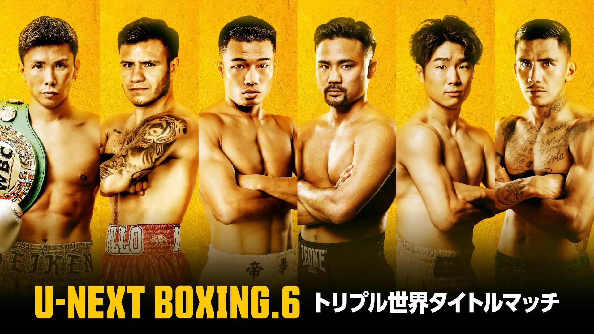 U-NEXT BOXING. 6 kv
