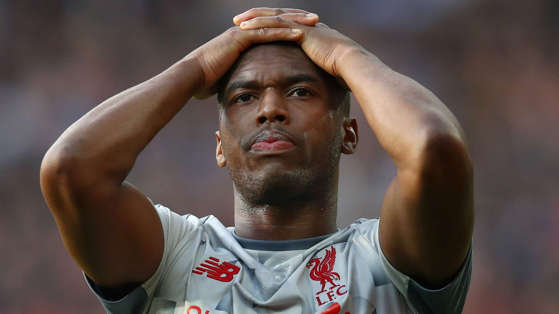 Daniel Sturridge Liverpool 2018-19