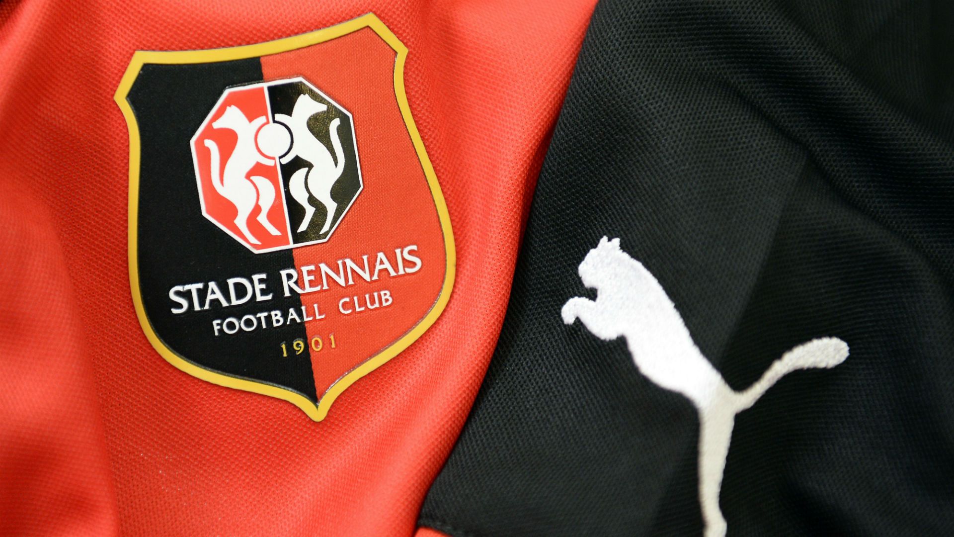 Illustration Stade Rennais Rennes Ligue 1