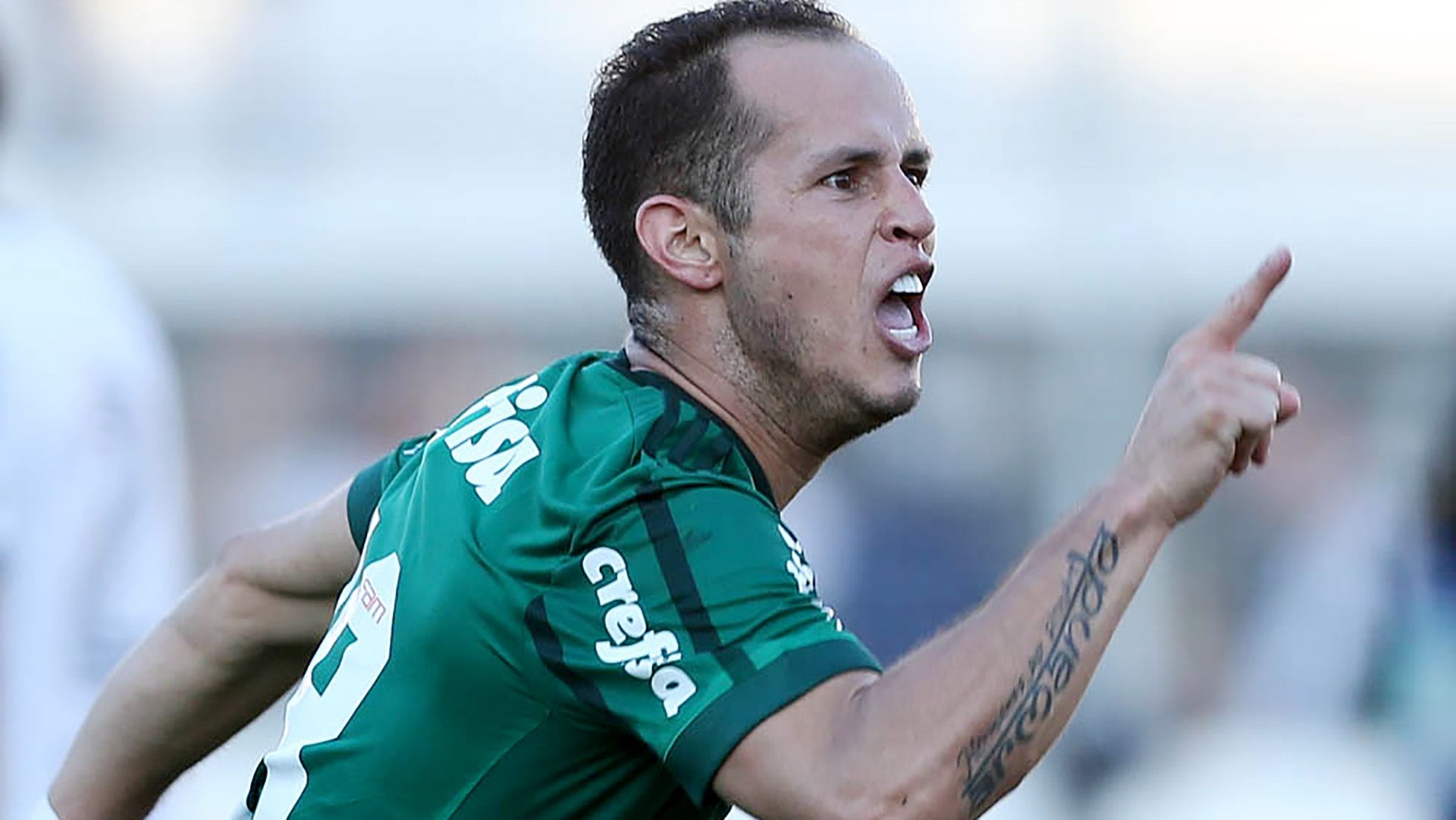 Ponte Preta Palmeiras Brasileirao Serie A 25062017