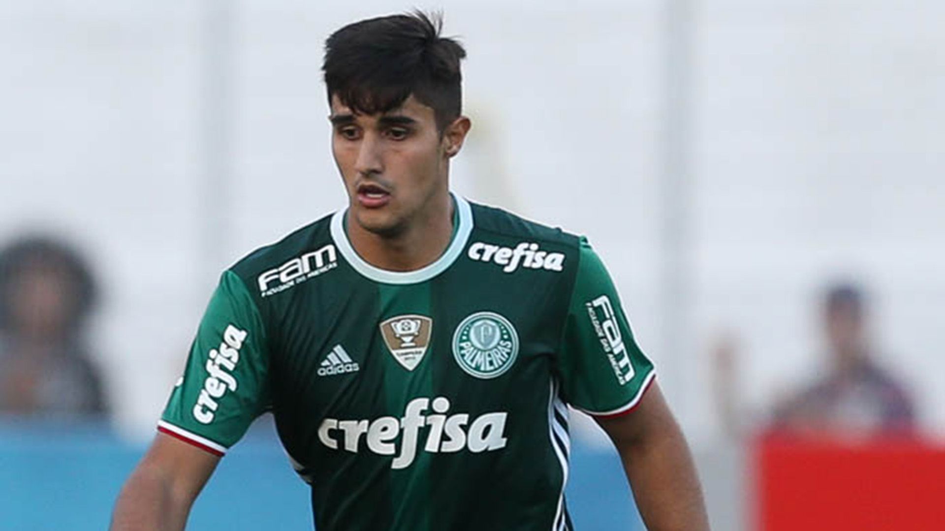 Thiago Martins Ponte Preta Palmeiras Brasileirão 21052016