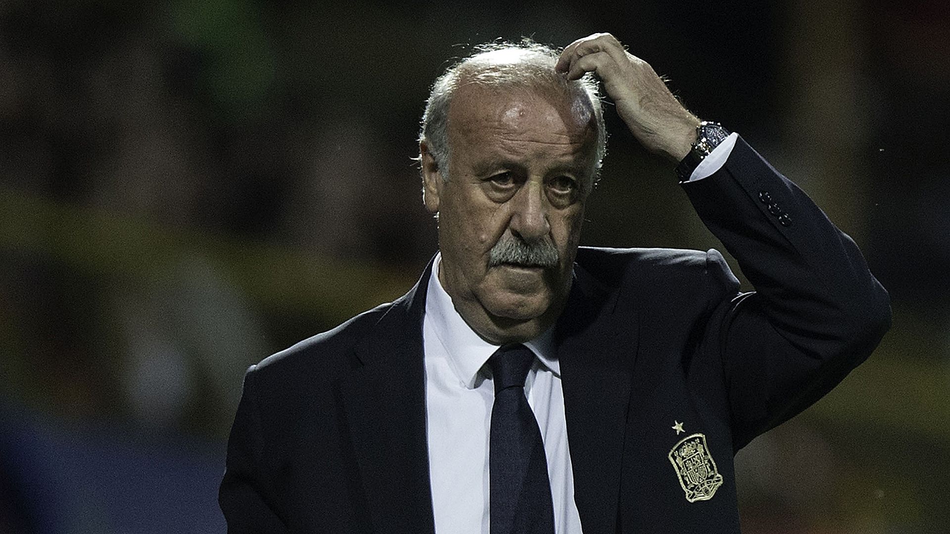Vicente Del Bosque Spanien 06112015