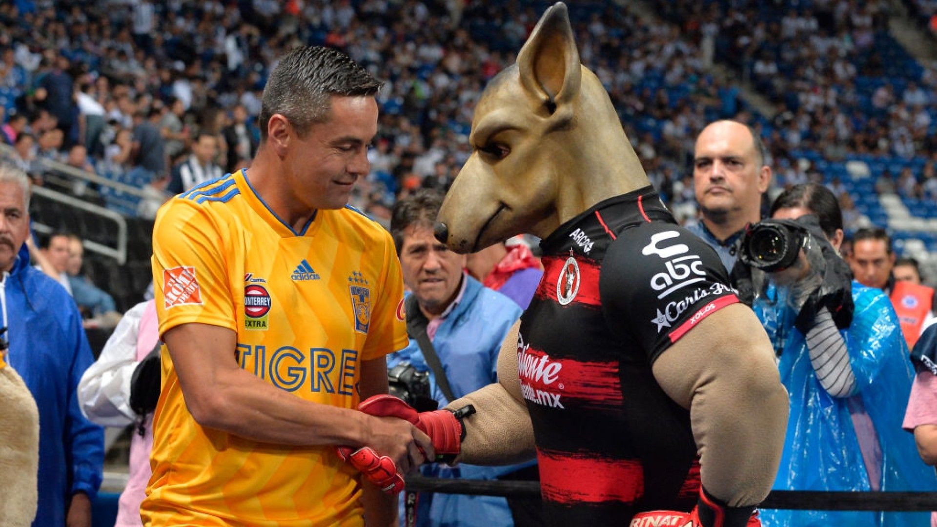 Juninho Tigres Apertura 2018