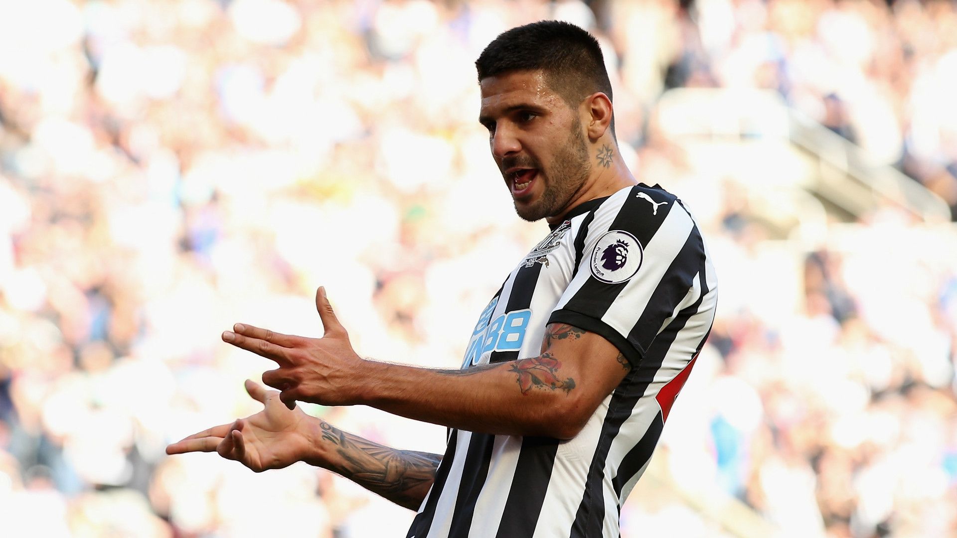 Aleksander Mitrovic Newcastle United PCMS