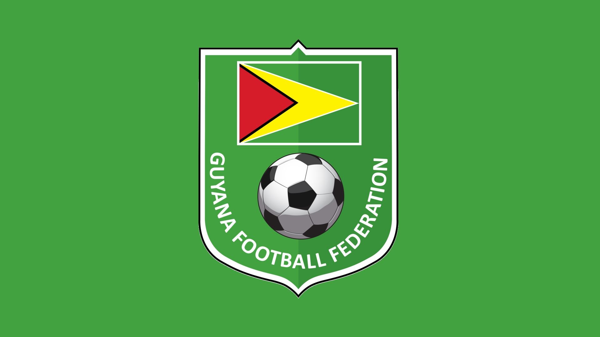 Guyana Logo Panel