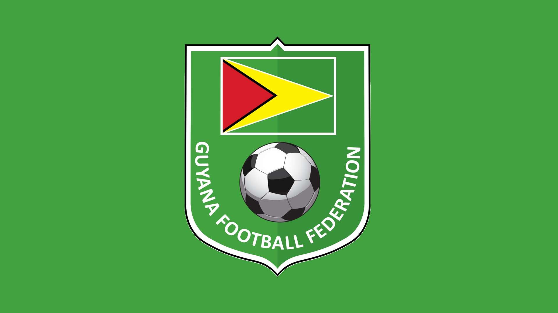 Guyana Logo Panel