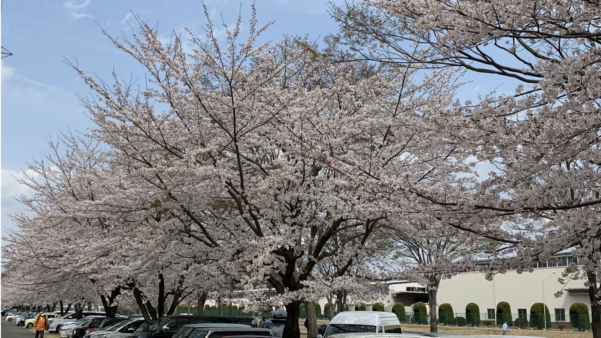 2019-04-09-harahiromi