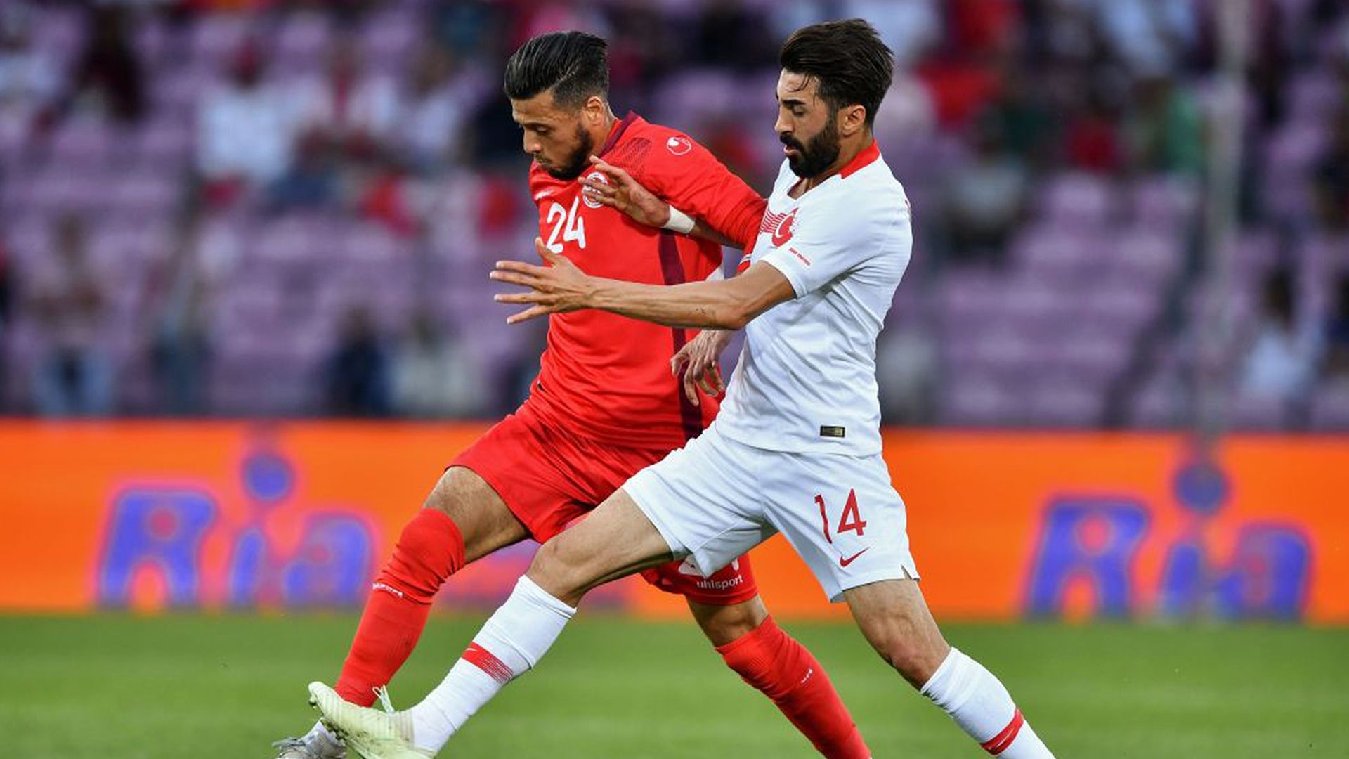 Mahmut Tekdemir Tunusia Turkey