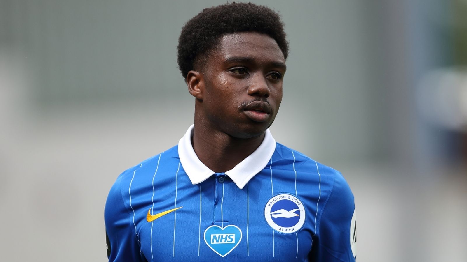 Tariq Lamptey Brighton