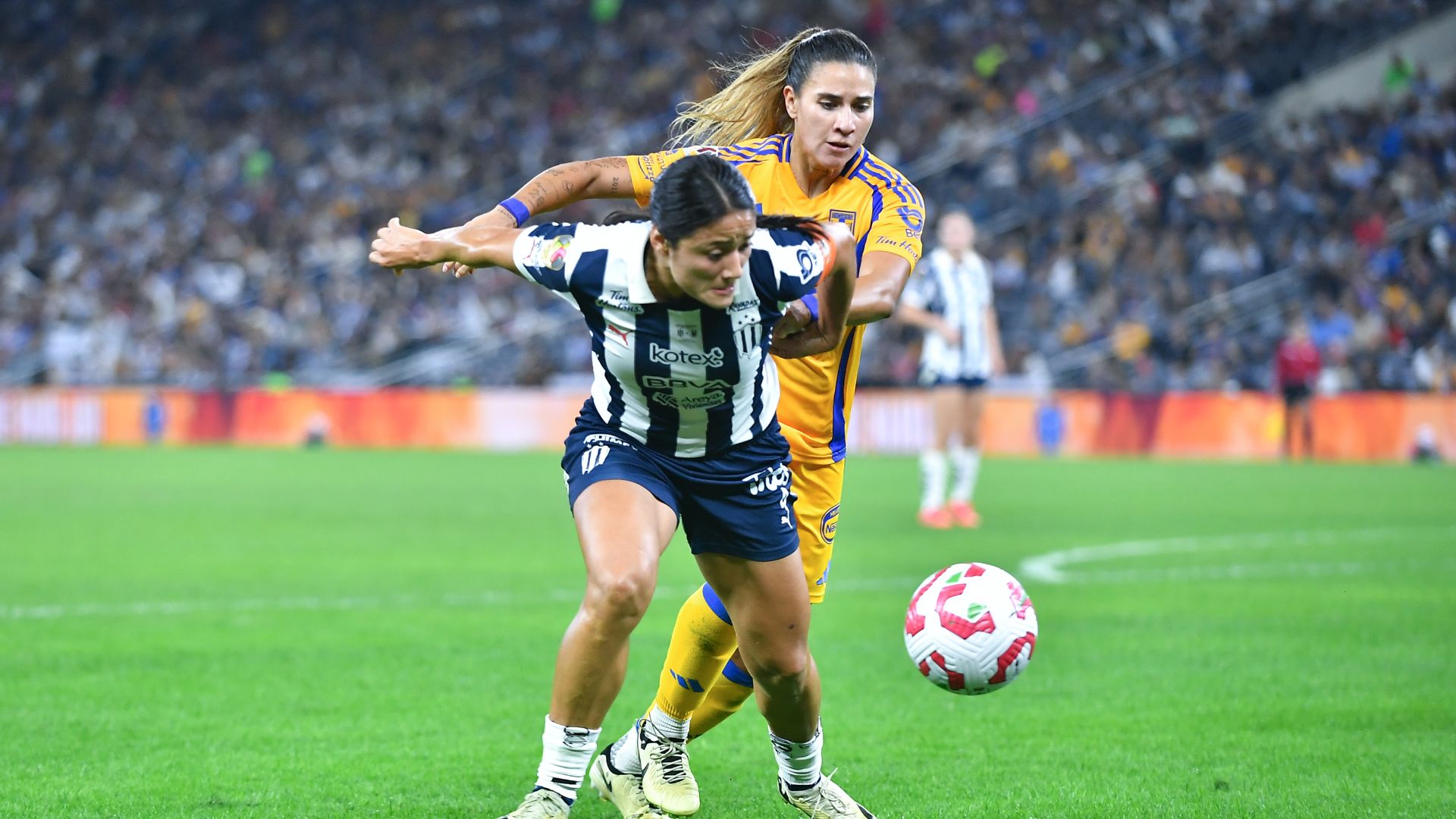 Rayadas de Monterrey Tigres Final Apertura 2024 Liga MX Femenil