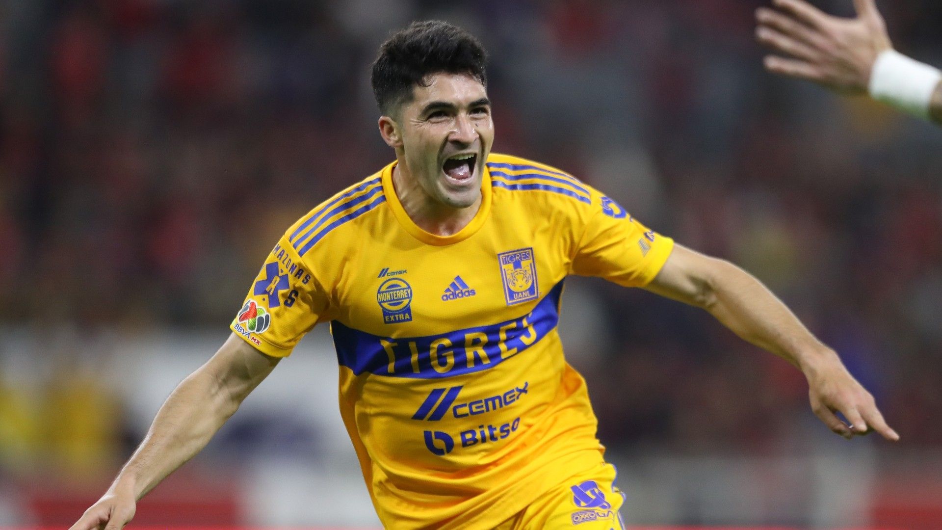Nicolás Ibáñez Tigres Clausura 2023