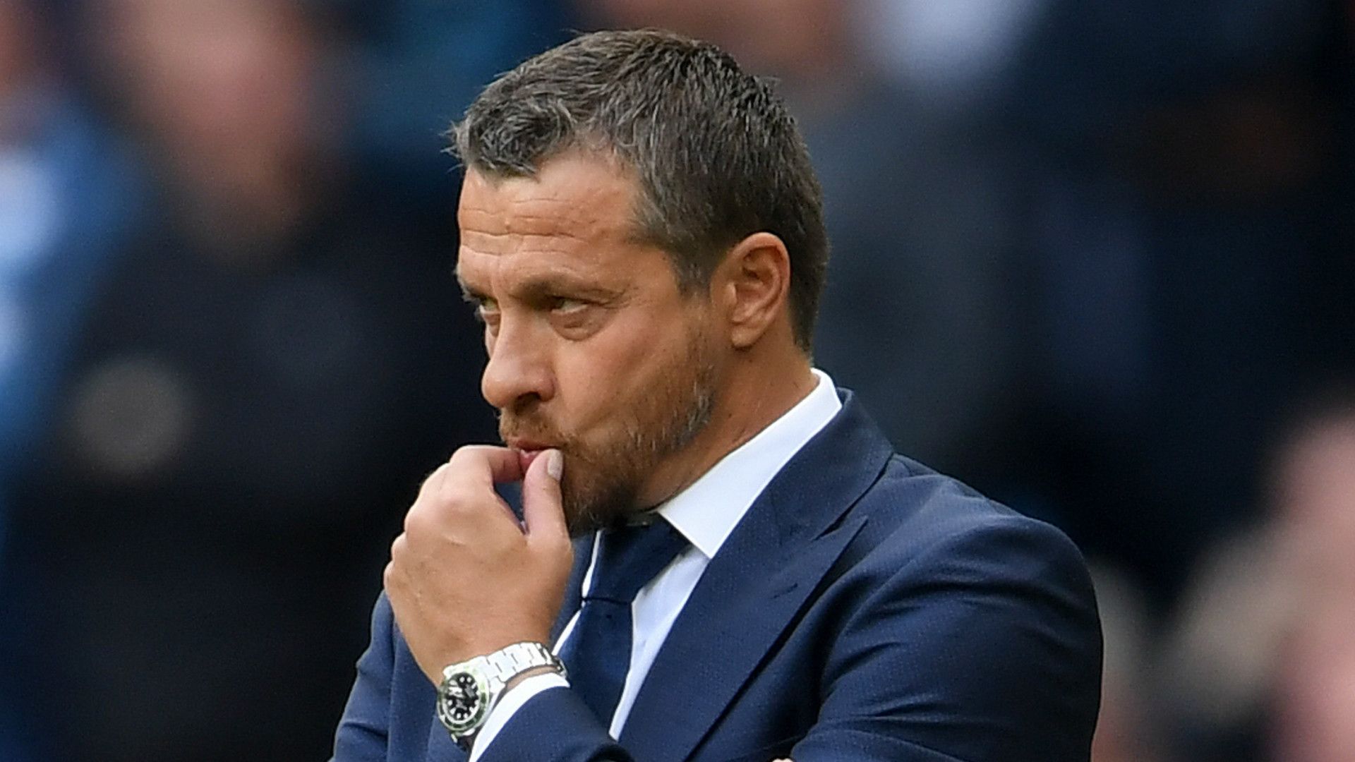 Slavisa Jokanovic Fulham 2018-19