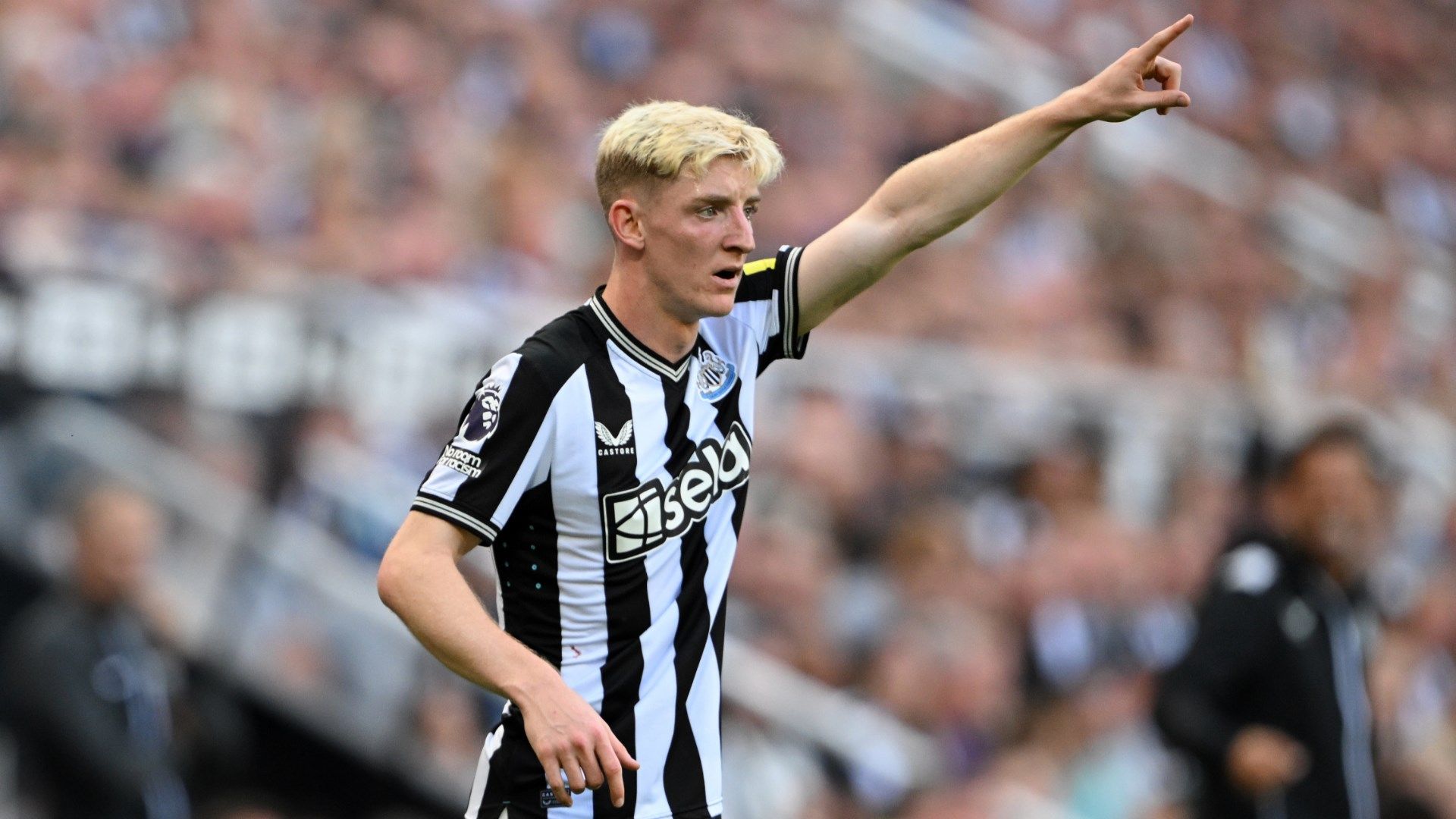 Anthony Gordon Newcastle 2023-24