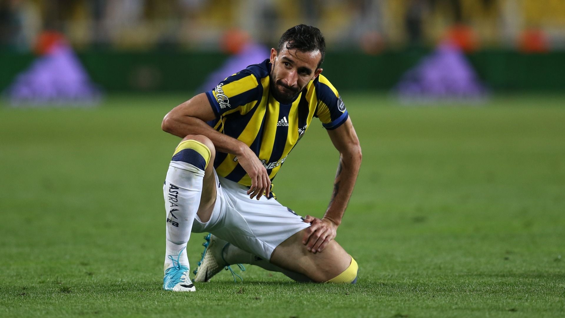 Mehmet Topal Fenerbahce