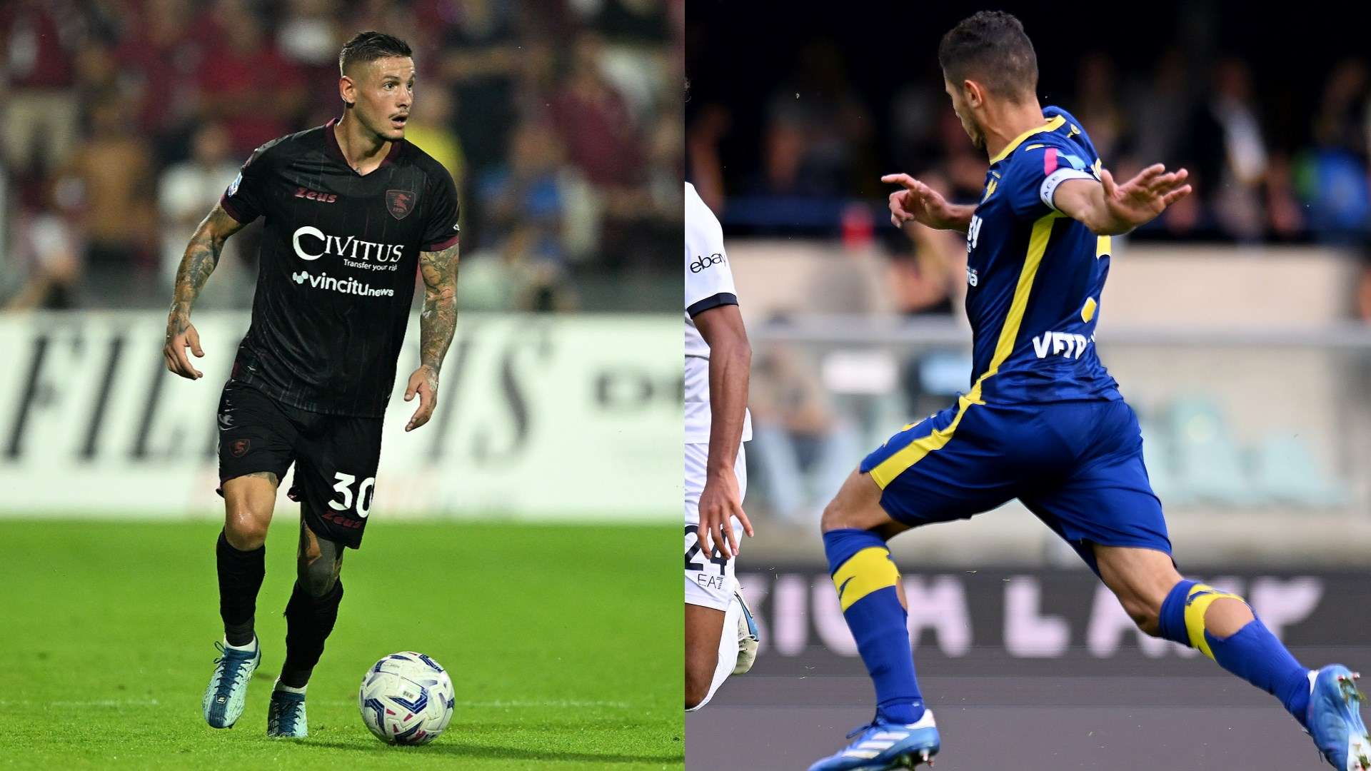 Mazzocchi Faraoni GFX