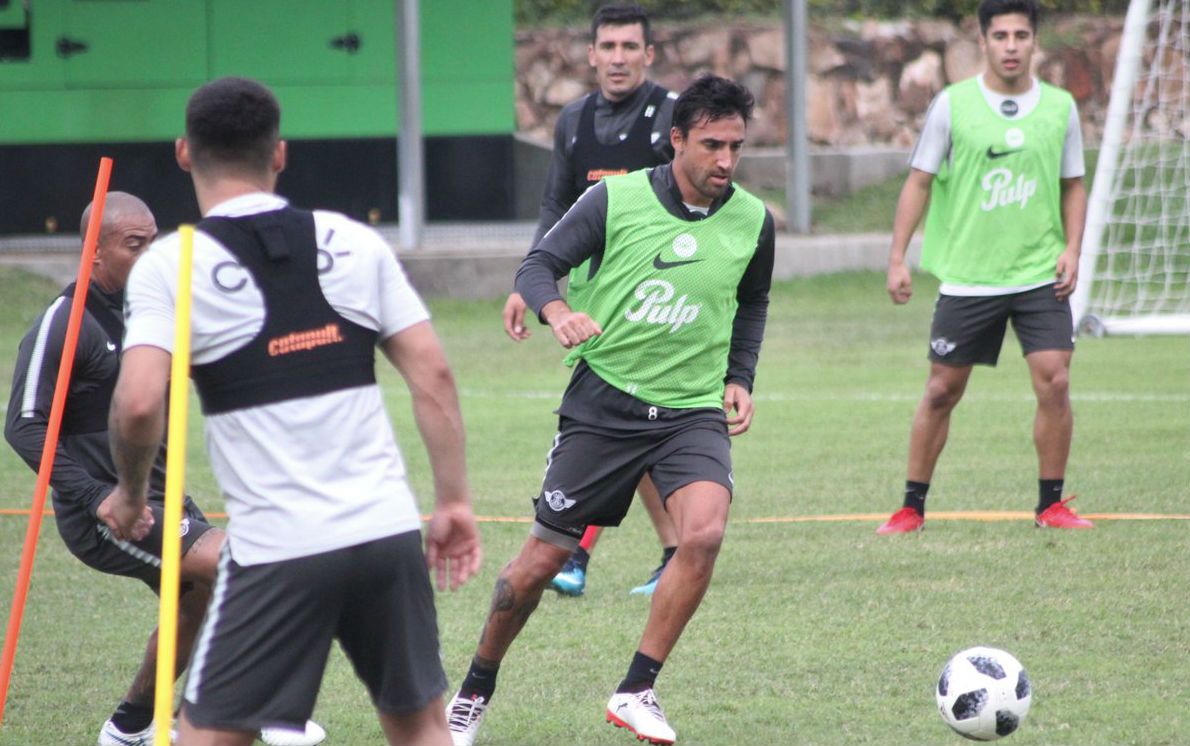 Guma Salgueiro