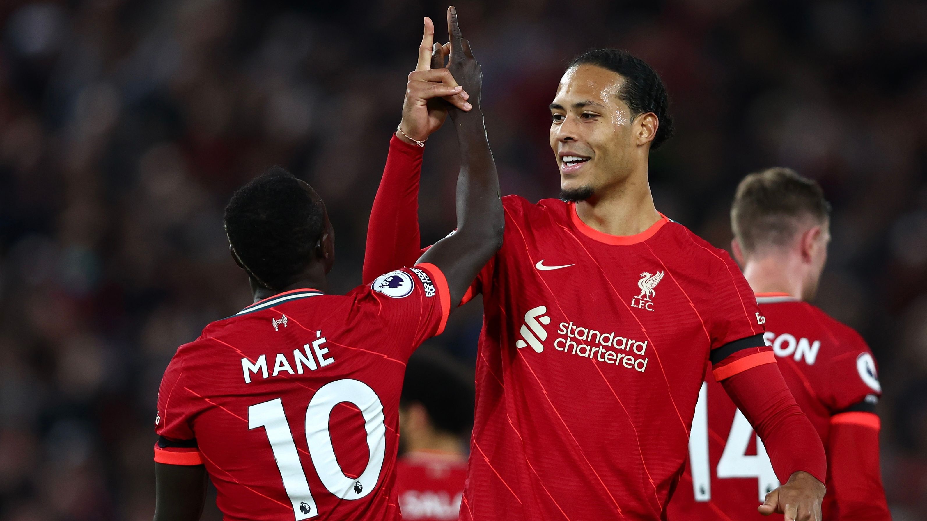Van-Dijk-Mane