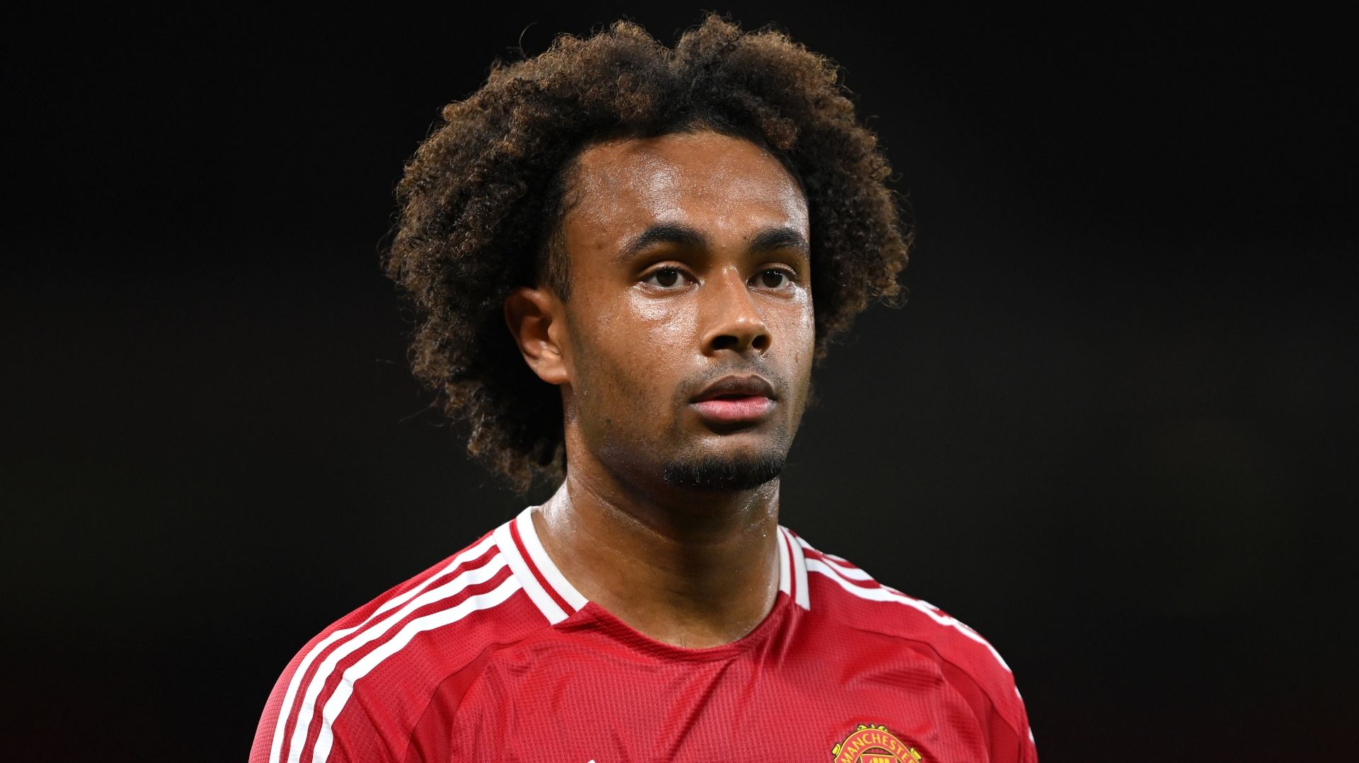 Zirkzee Manchester United