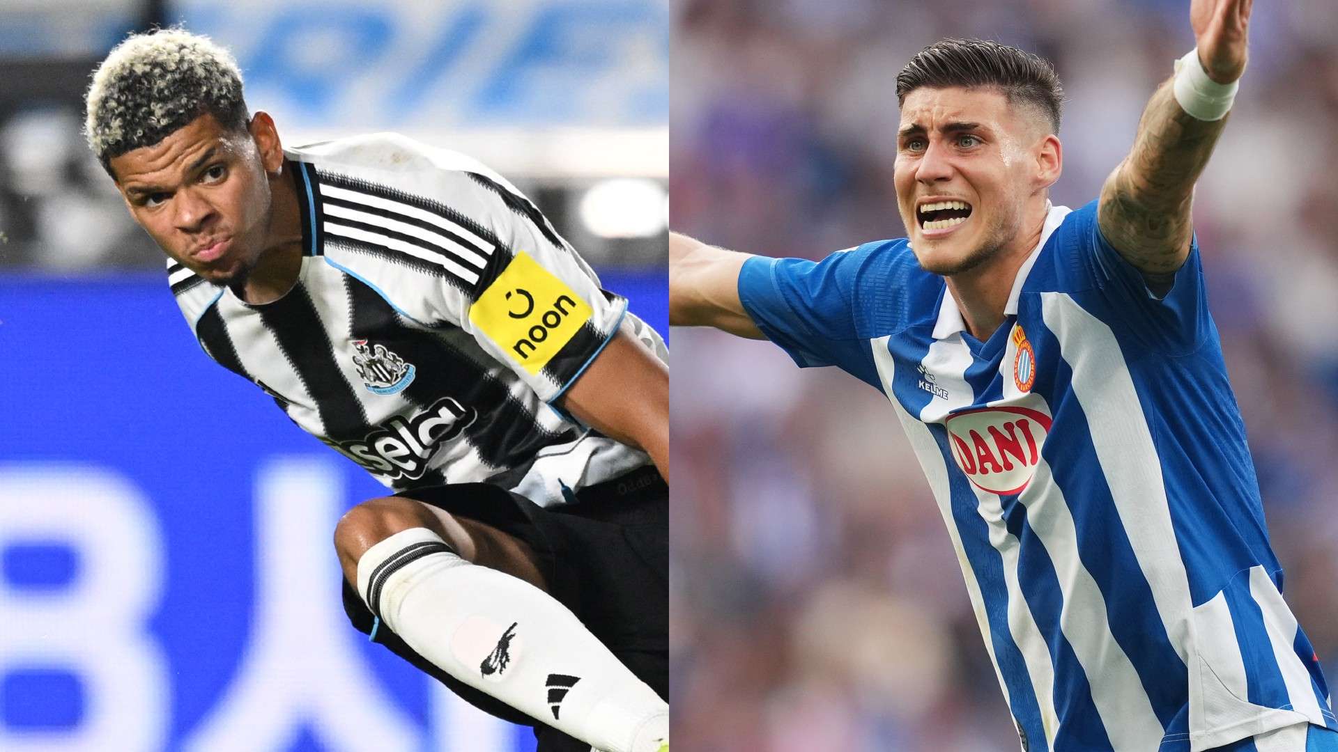 MP_osukla_newcastle vs fernandez_espanyol