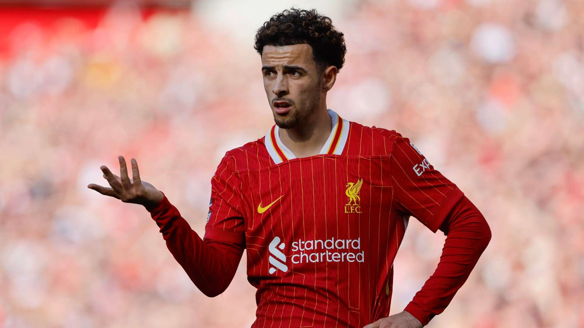 The happiest I have been' - Curtis Jones appears to aim subtle dig at ex-Liverpool boss Jurgen Klopp as he talks up successor Arne Slot | Goal.com US