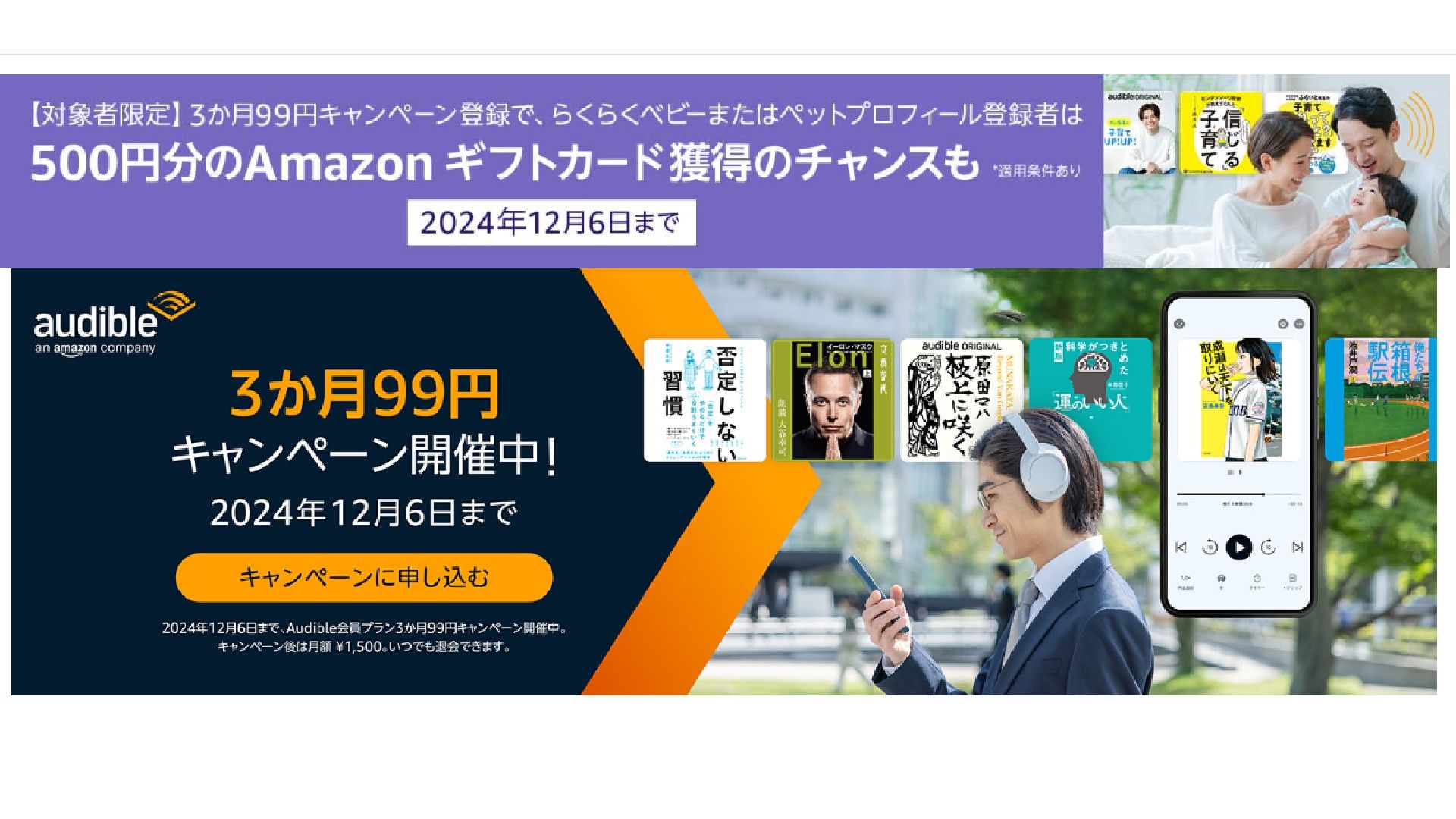 audible campaign black friday 2024