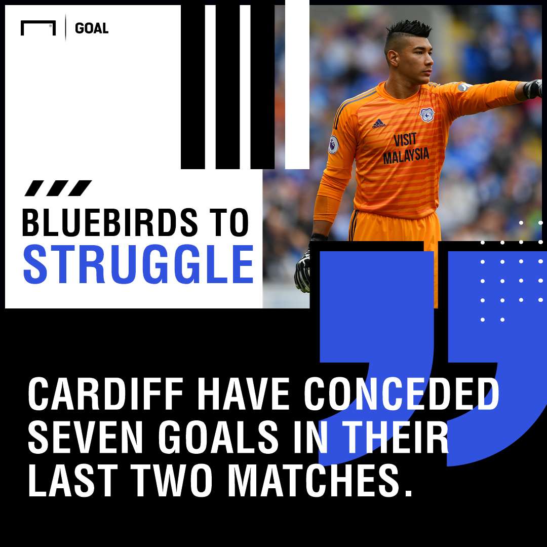 Cardiff Man City graphic