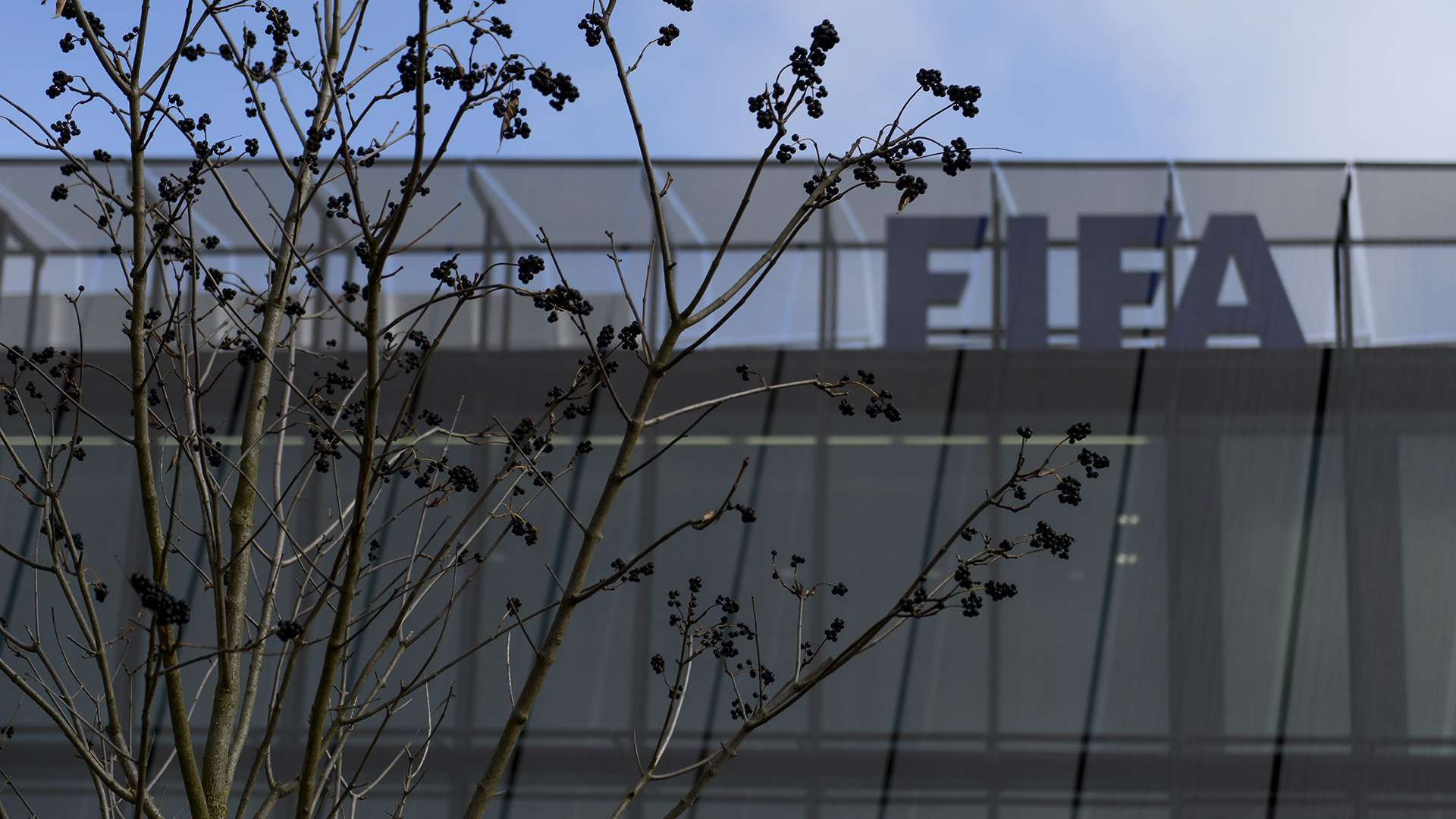 FIFA LOGO BUILDING 05012015