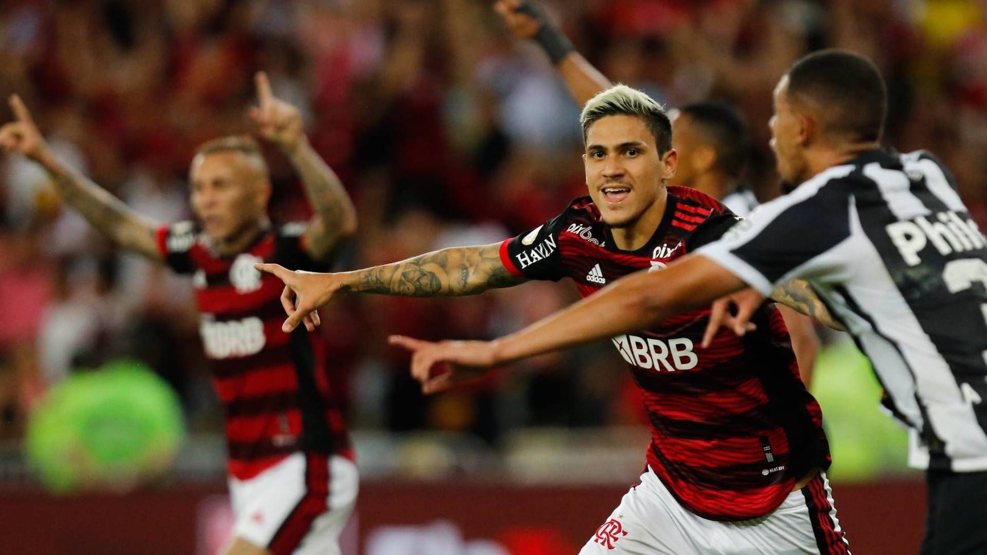 Brasileirão, Flamengo x Santos, Pedro 25/10/2022