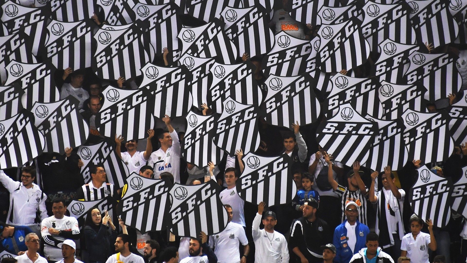 Santos torcida
