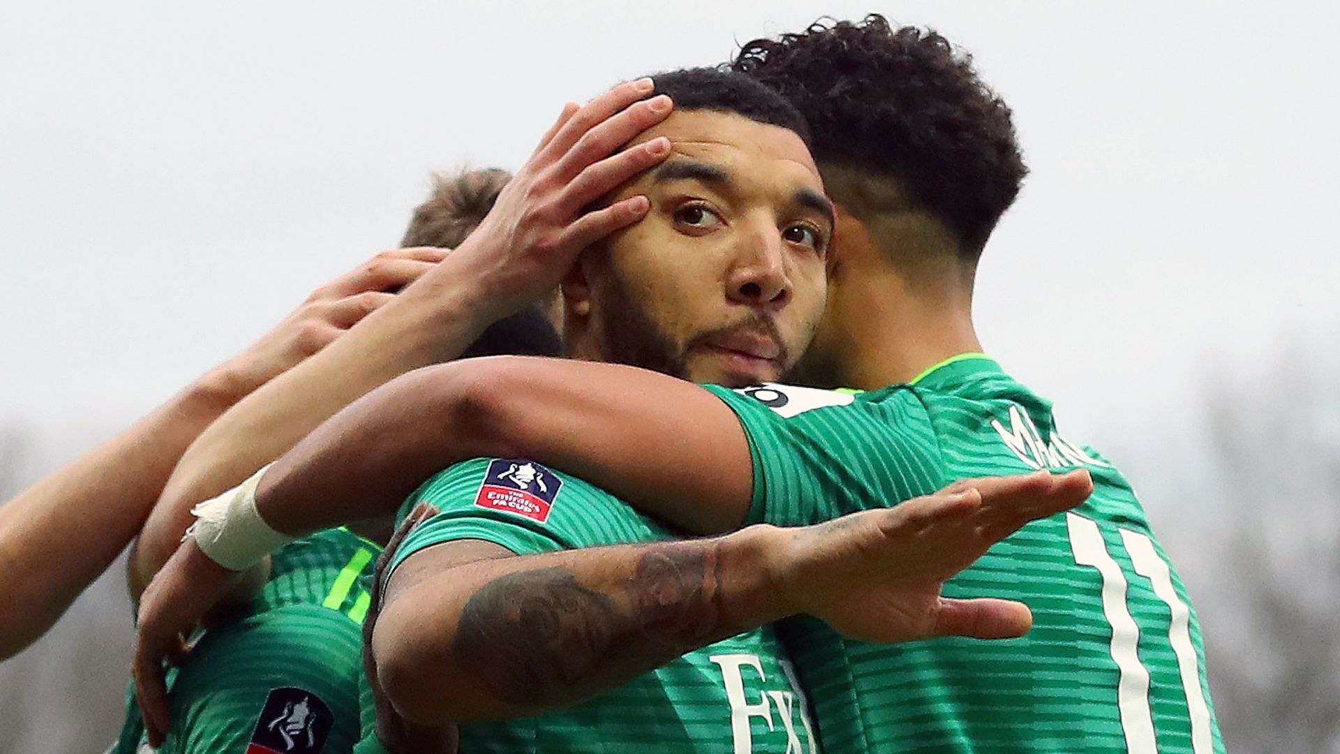 Troy Deeney, Watford