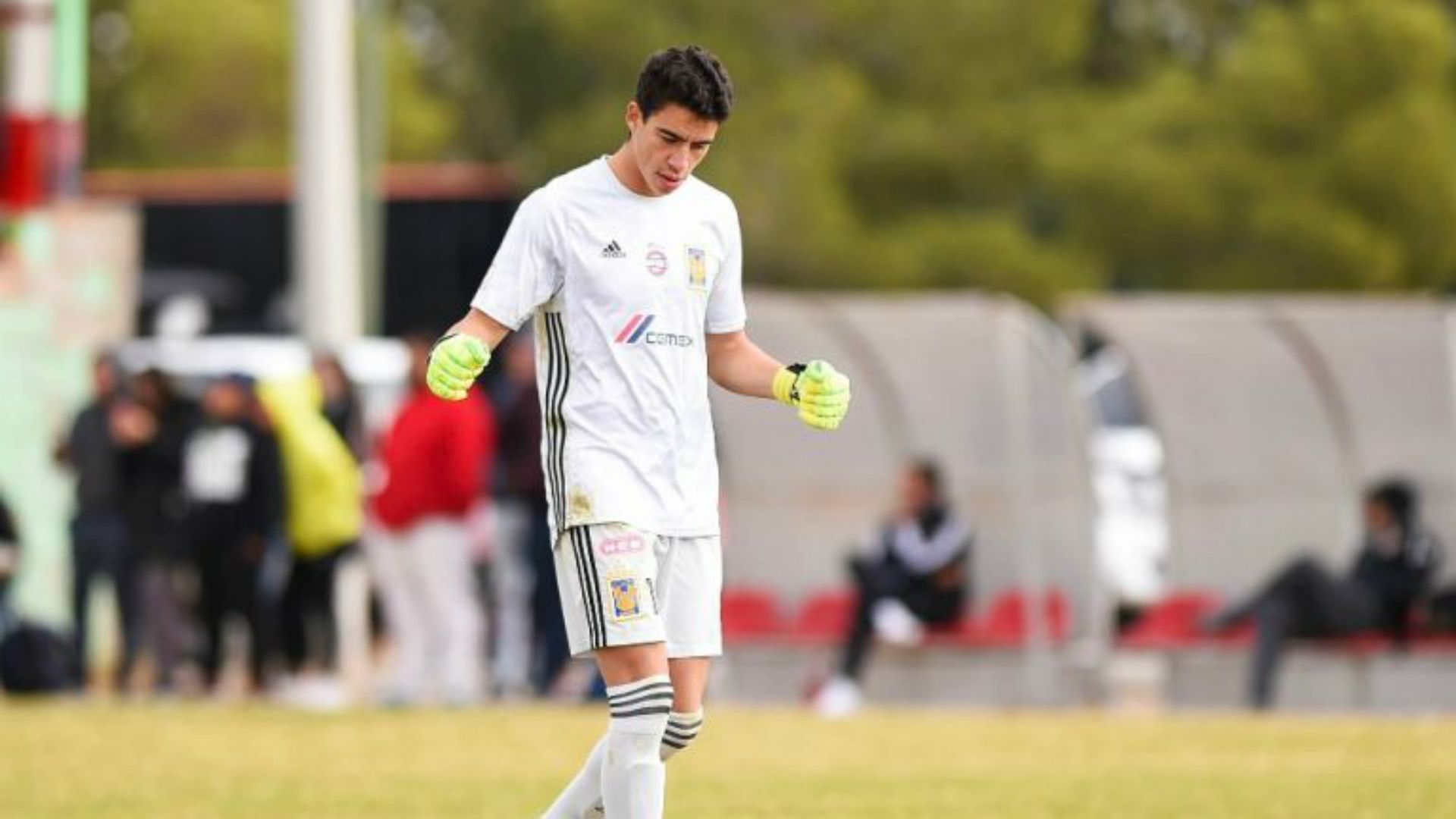 Carlos Galindo Tigres