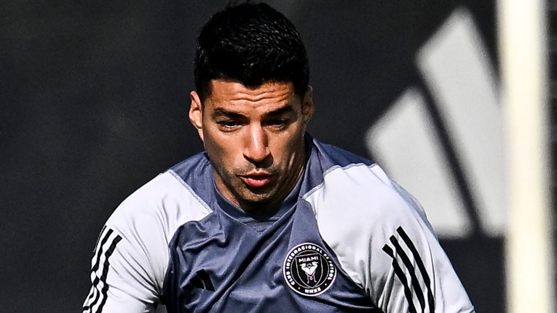 Luis Suarez Inter Miami 2024