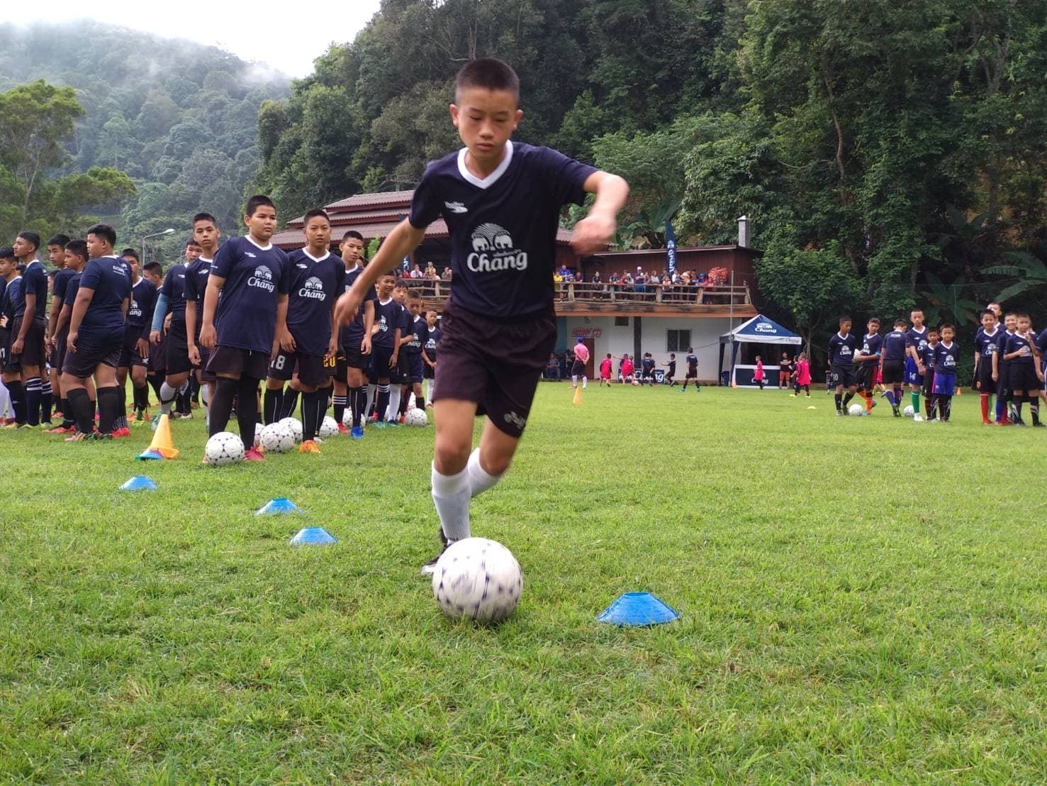 "ช้าง" ขึ้นเหนือ เยือนม่อนแจ่ม