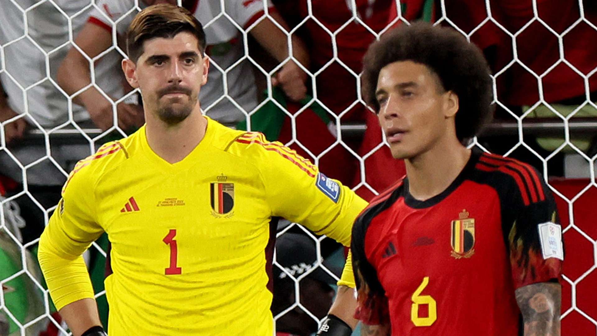 Courtois Witsel