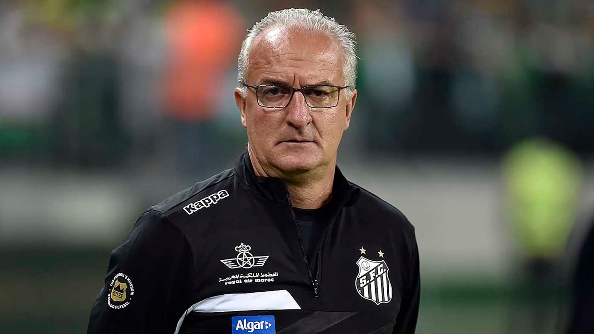 Dorival Junior Palmeiras Santos Brasileirão 12072016