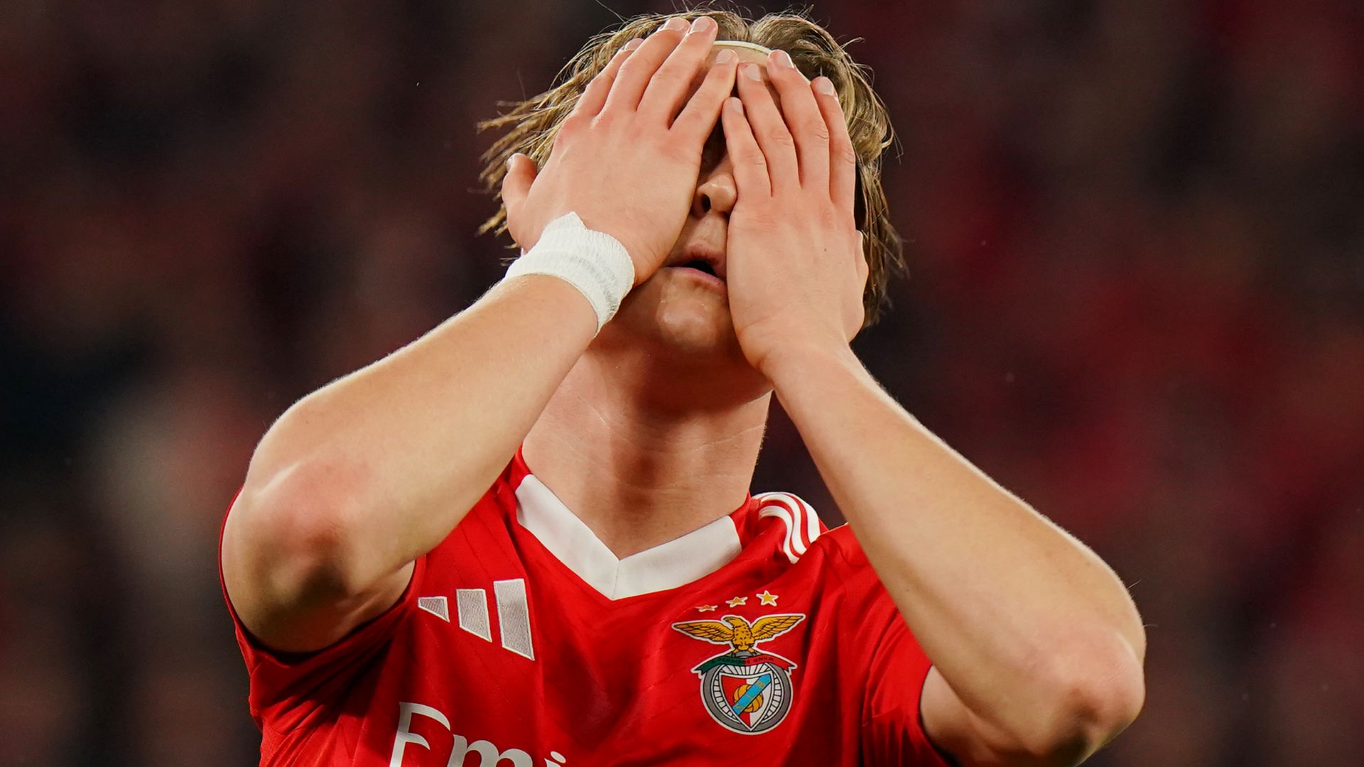 Andreas Schjelderup Benfica