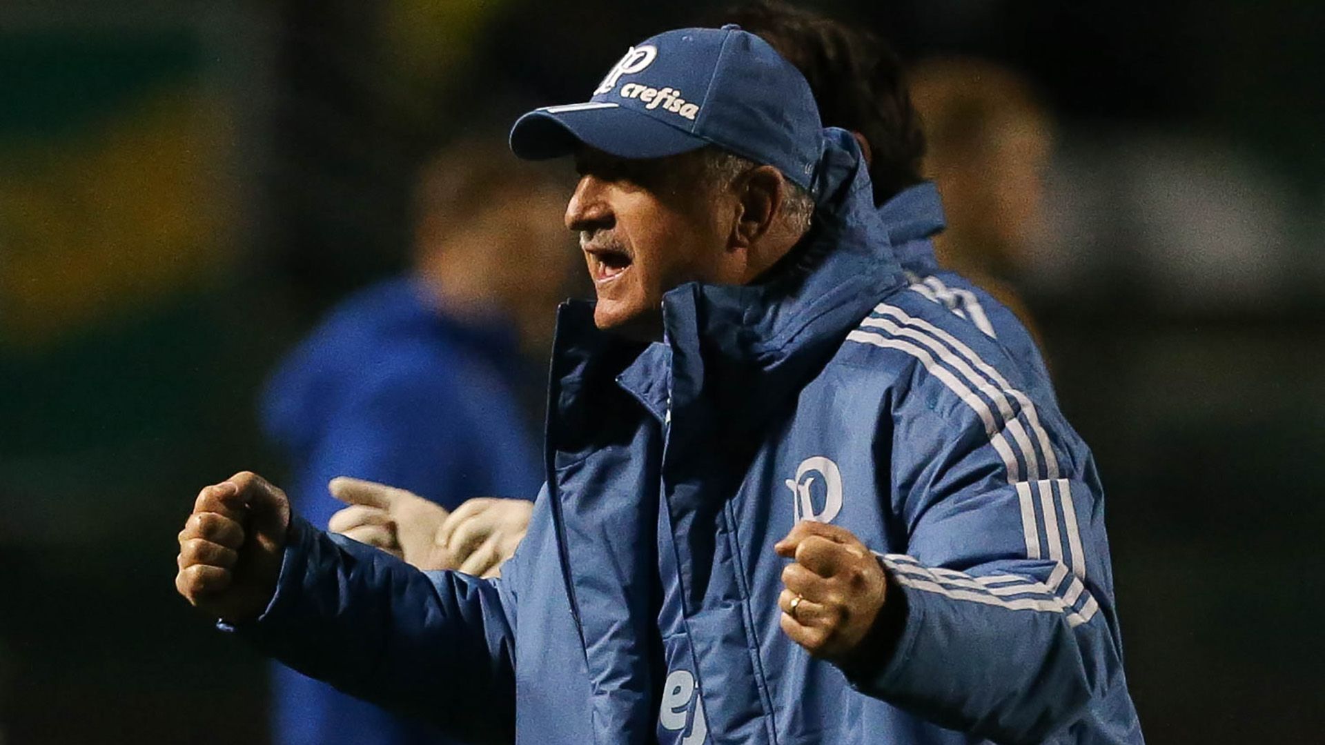 Felipao Scolari Palmeiras Bahia Copa do Brasil 16082018