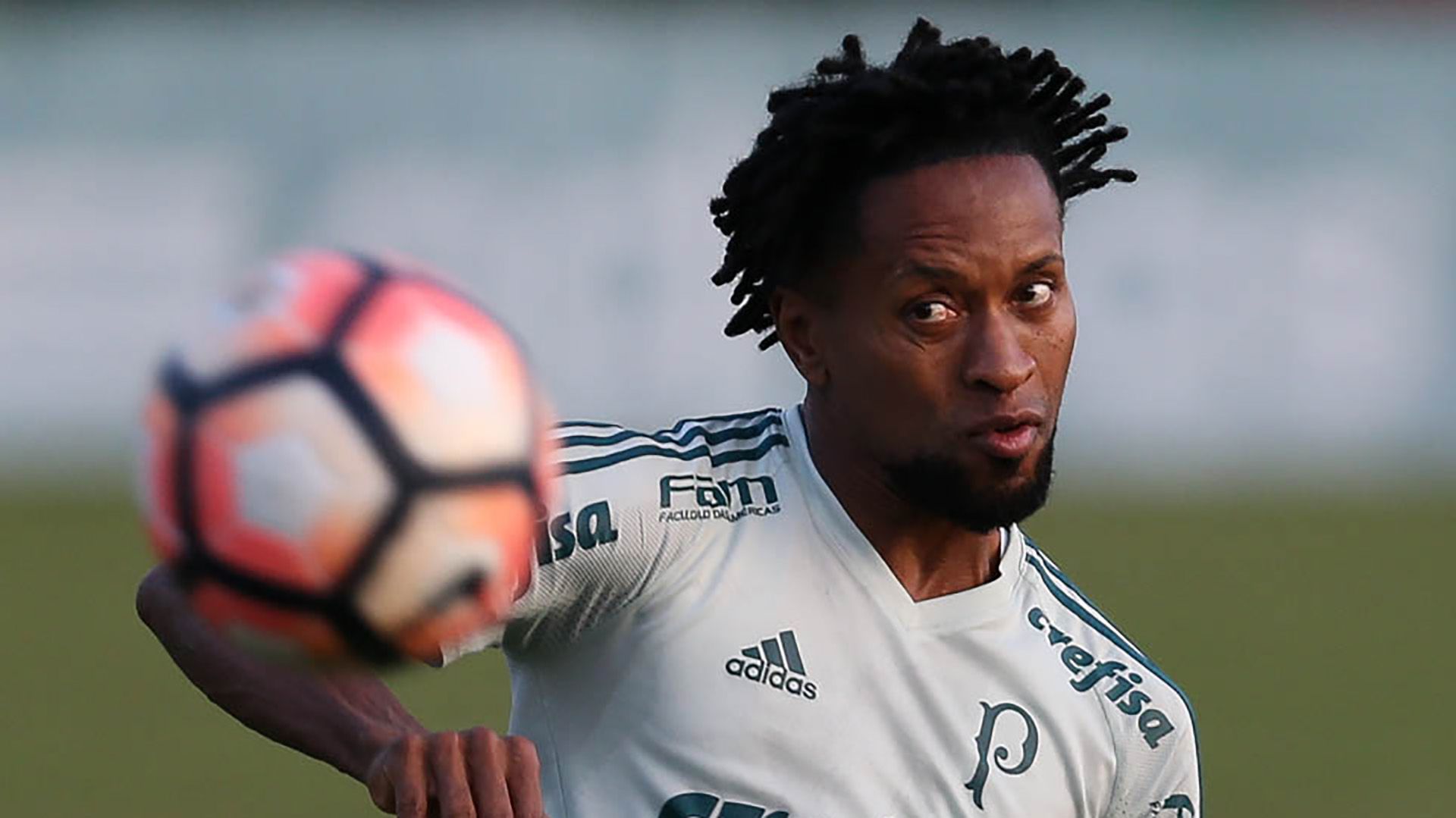 Ze Roberto Palmeiras treino 23052017