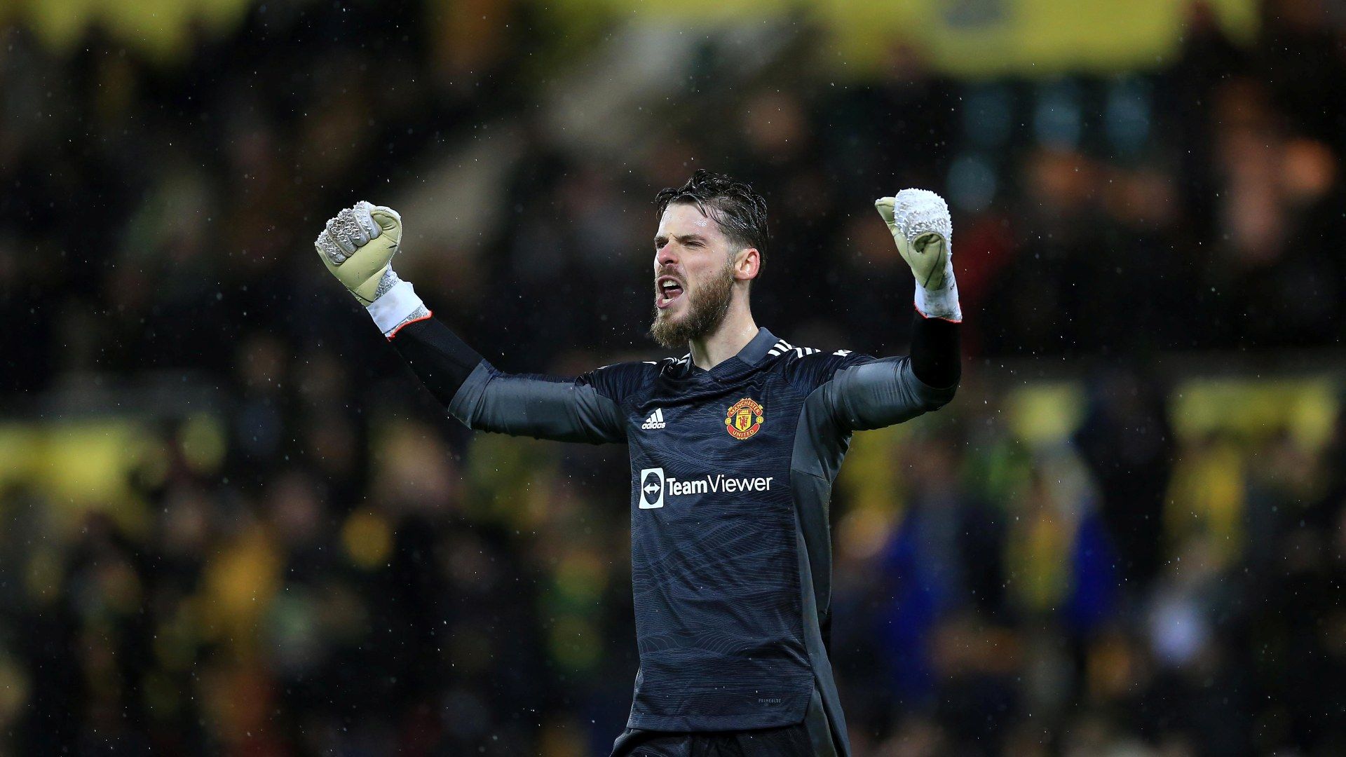 David de Gea - Norwich City vs Manchester United Premier League 11122021
