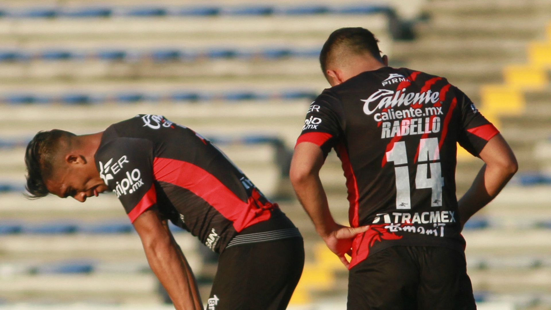 Lobos BUAP