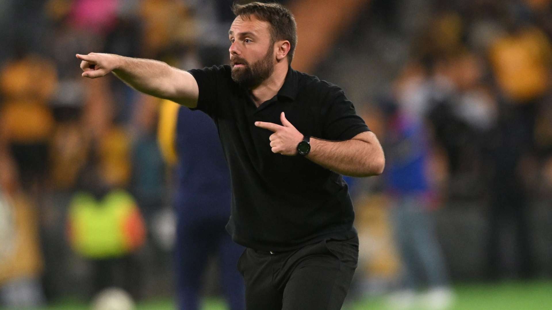 Alex Lafitte, Marumo Gallants