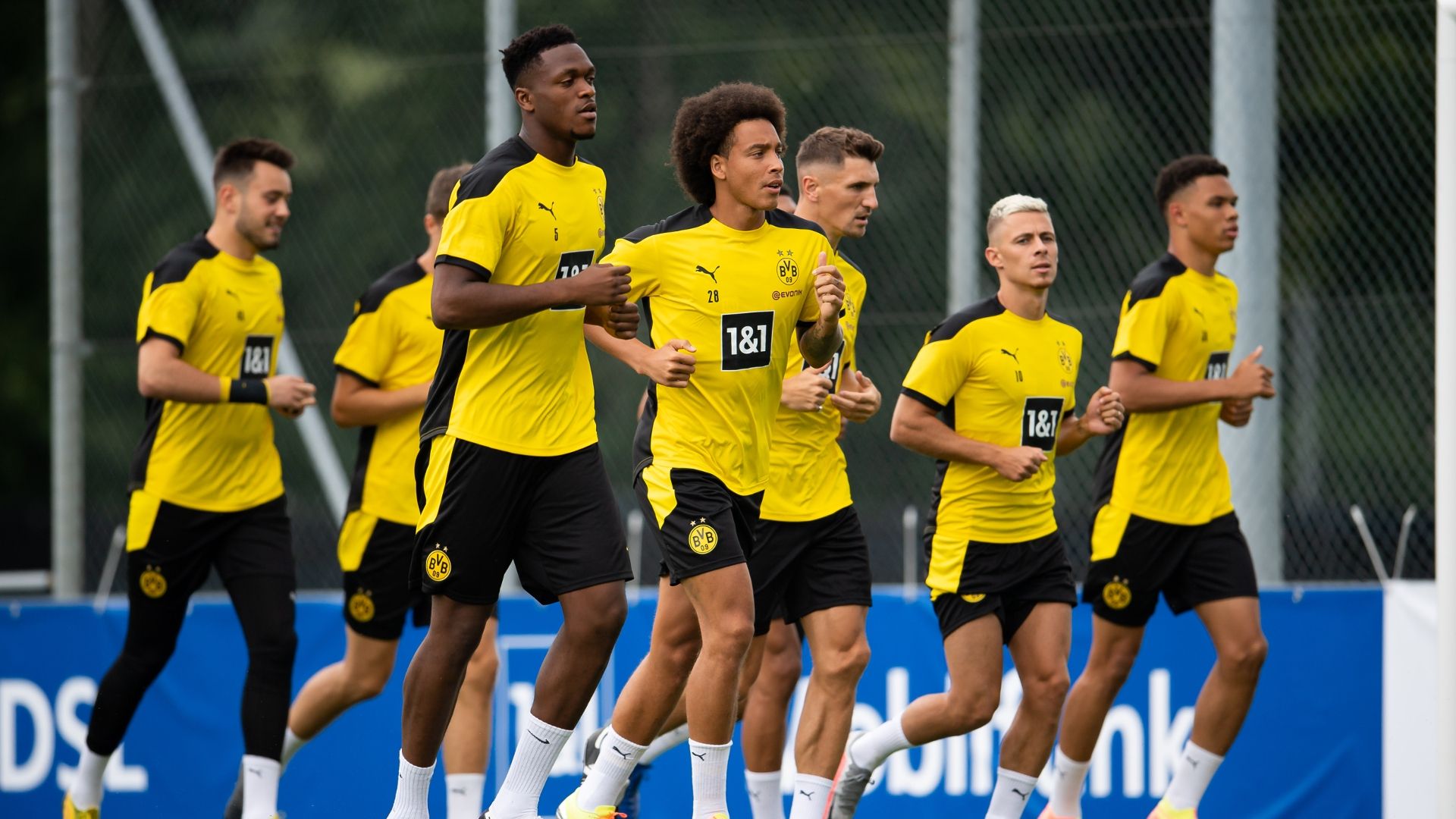 BVB Training