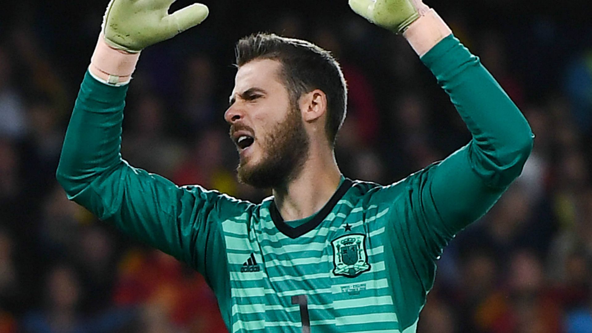 David de Gea Spain 2018