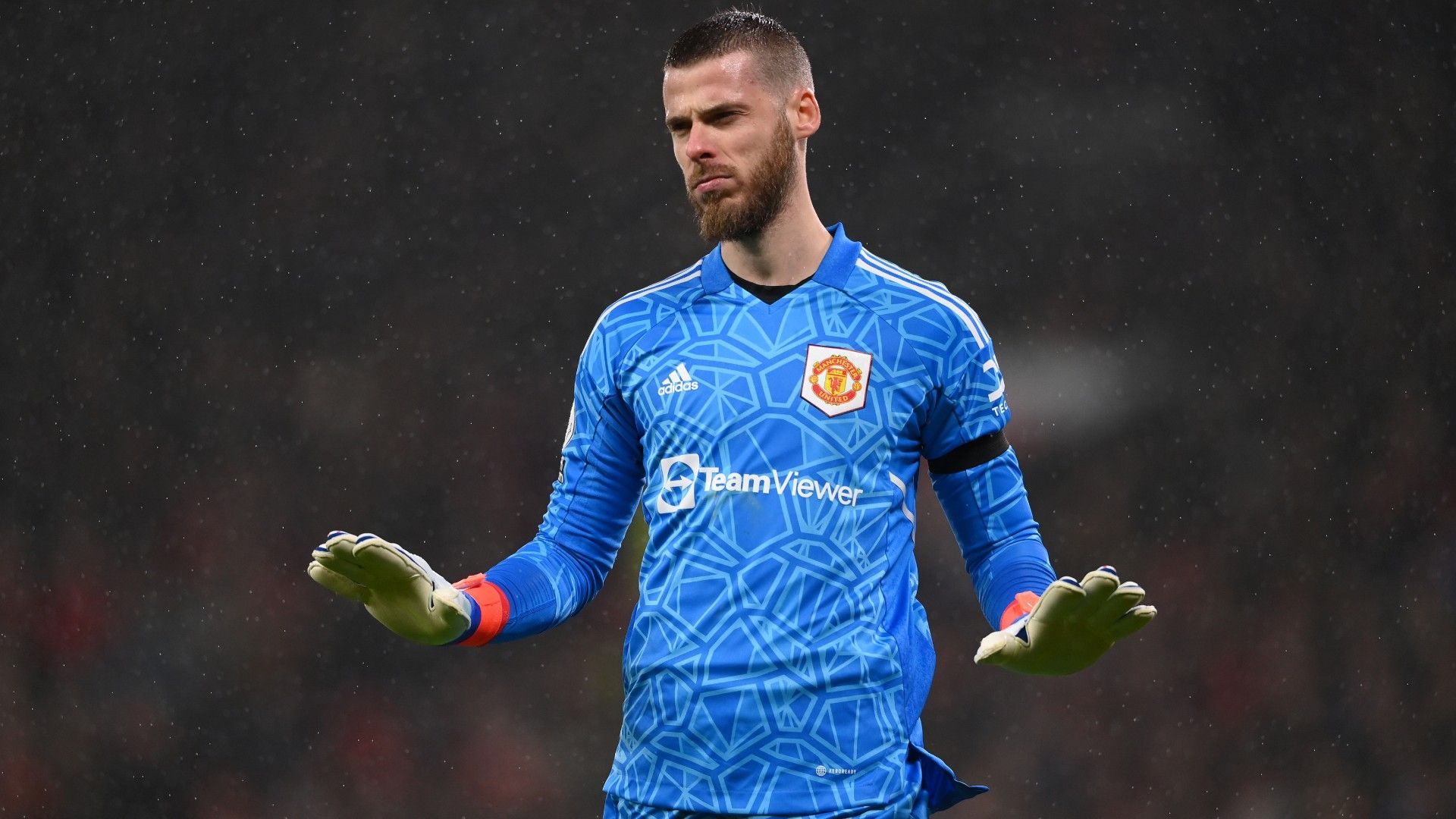 Manchester United goalkeeper David De Gea